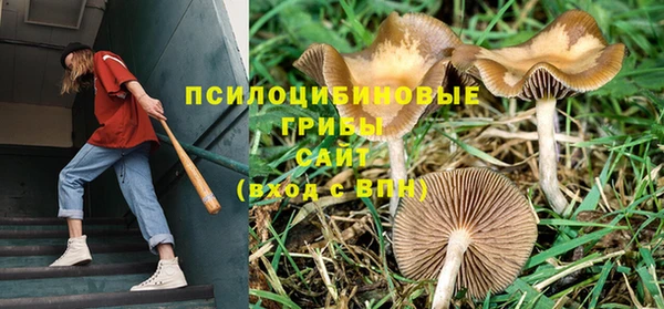 PSILOCYBIN Арсеньев
