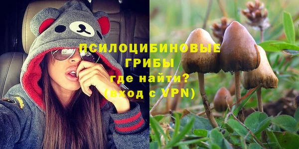 спайс Аркадак