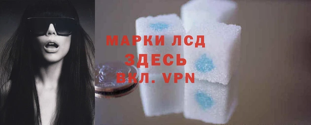 тгк Армянск