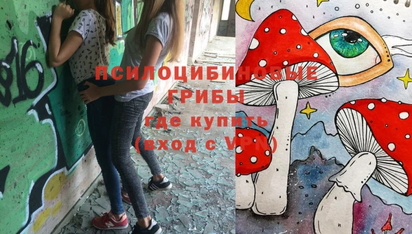 PSILOCYBIN Арсеньев